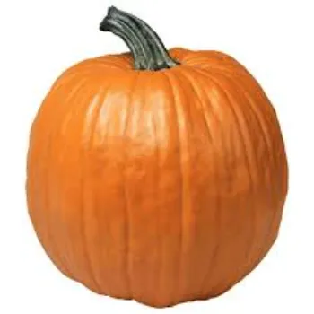 Fresh pumkin (32)-9050550-54240.webp